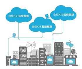 青海零售軟件應用大全 西寧易門供應與軟件開發(fā)指南